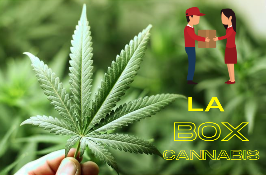 box cannabis